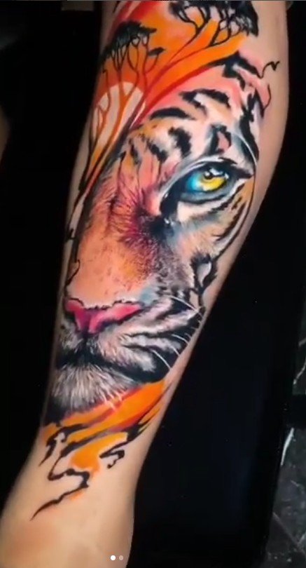 Color tiger